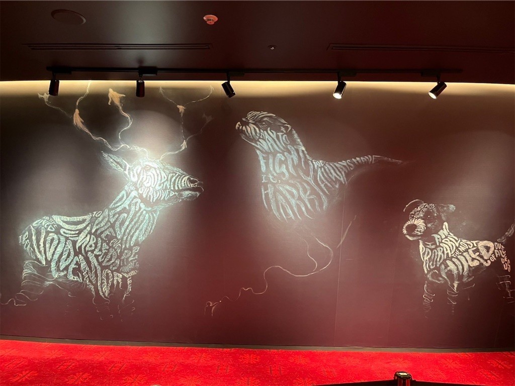 f:id:Magnoliarida:20221031154528j:image f:id:Magnoliarida:20221031154528j:image