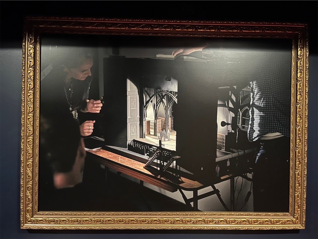 f:id:Magnoliarida:20221031161117j:image f:id:Magnoliarida:20221031161117j:image