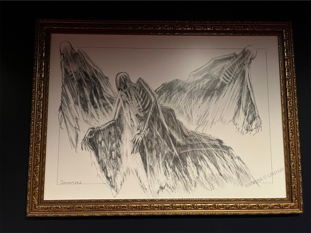 f:id:Magnoliarida:20221031161120j:image f:id:Magnoliarida:20221031161120j:image