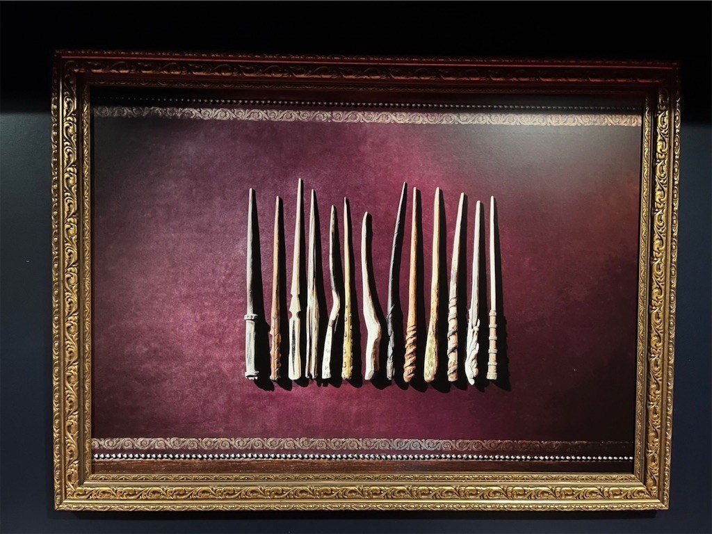 f:id:Magnoliarida:20221031161134j:image f:id:Magnoliarida:20221031161134j:image