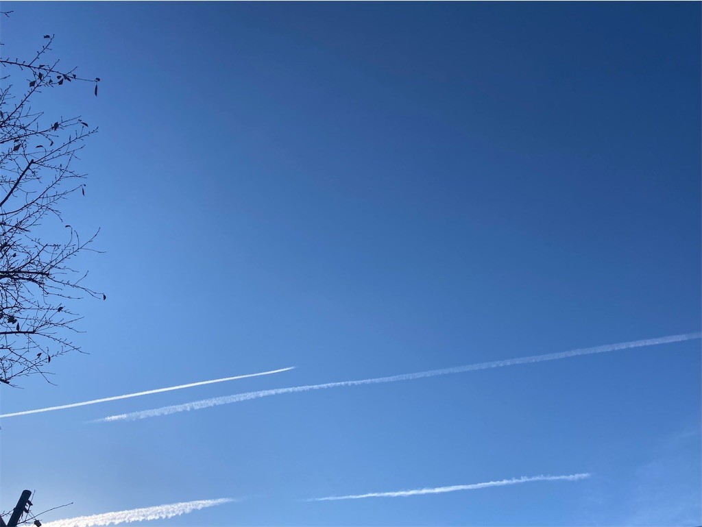 f:id:Magnoliarida:20221117082418j:image f:id:Magnoliarida:20221117082418j:image