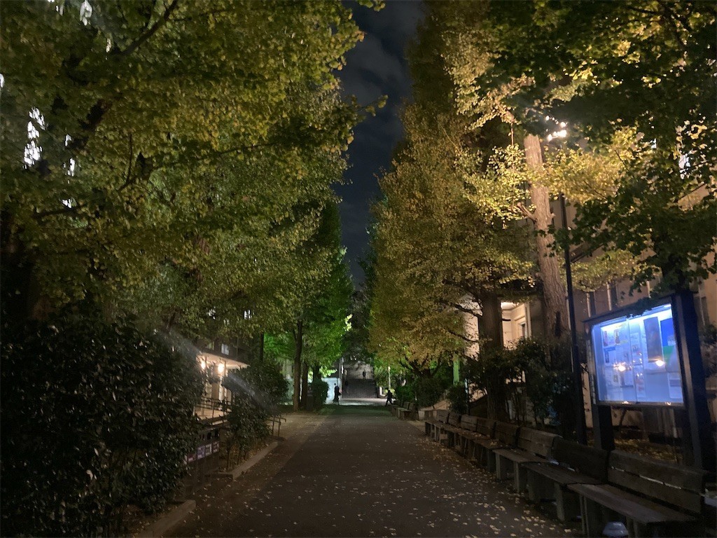 f:id:Magnoliarida:20221119010457j:image