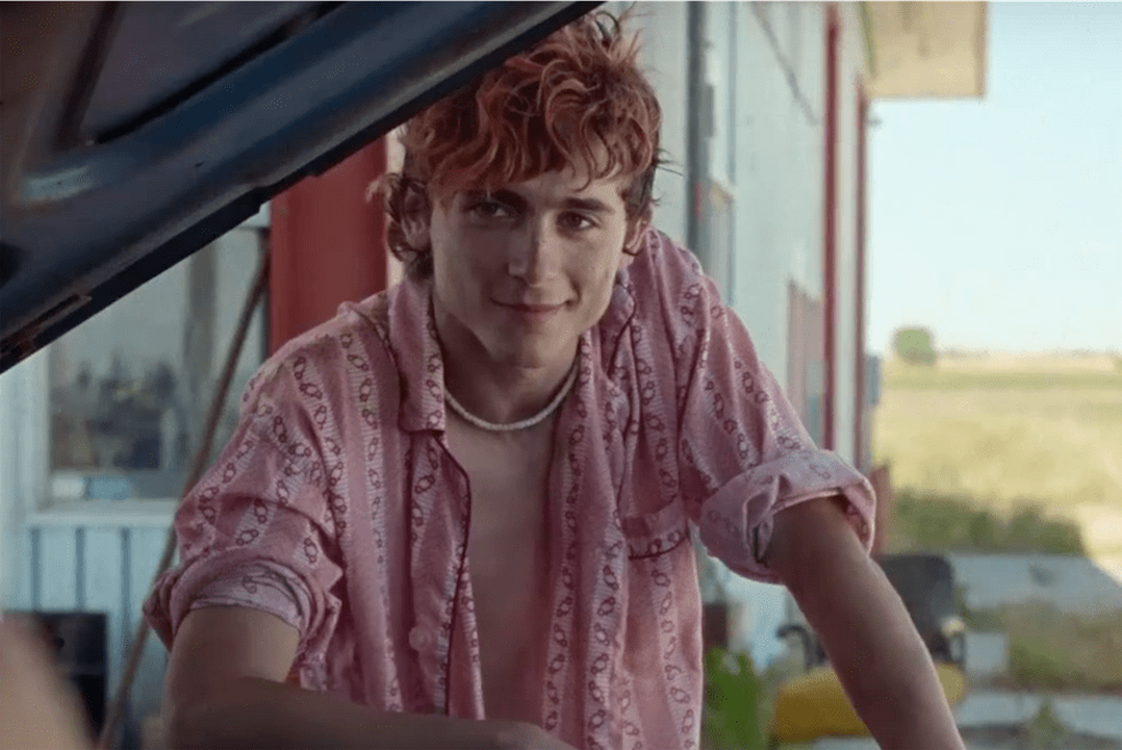 f:id:Magnoliarida:20221121104713p:image f:id:Magnoliarida:20221121104713p:image