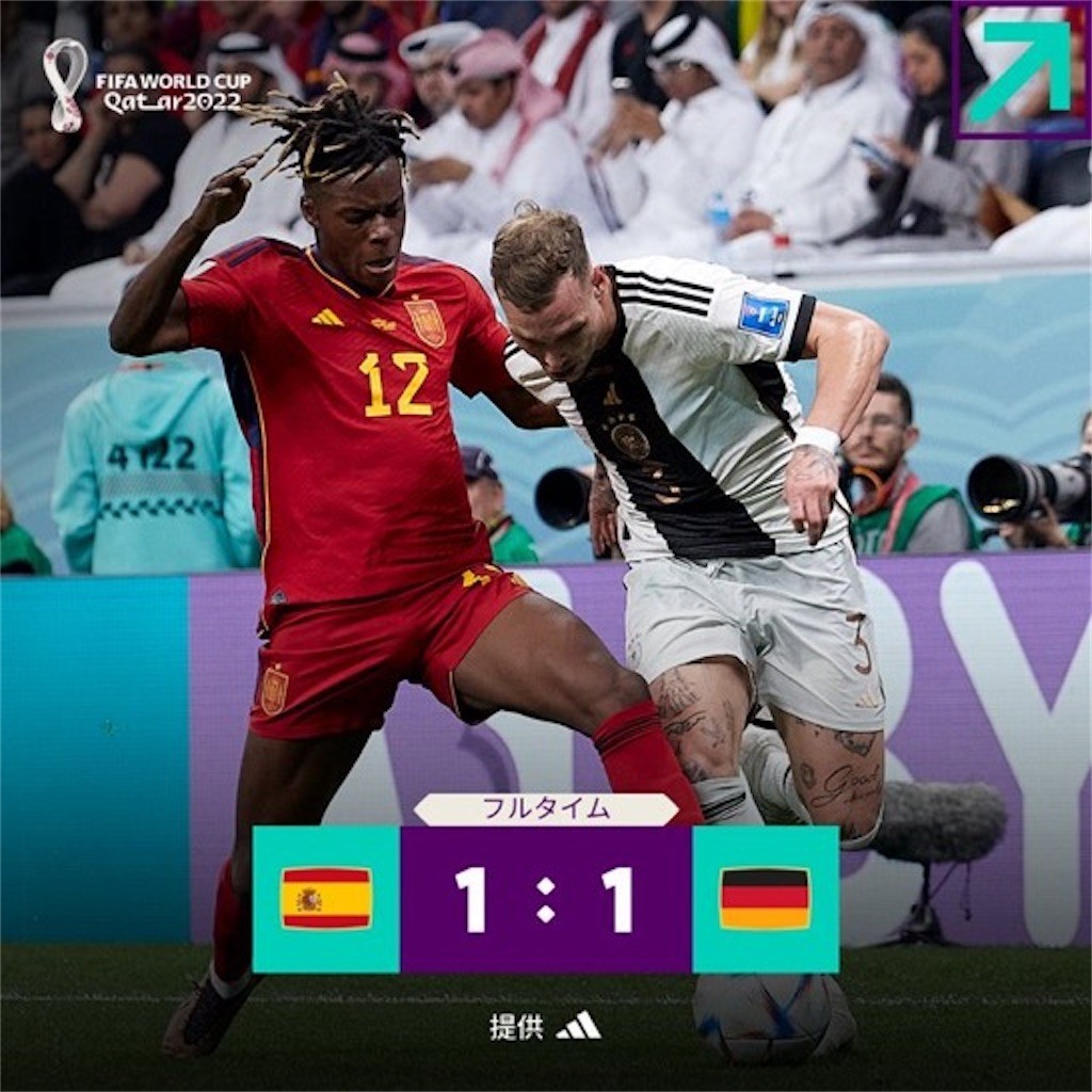 f:id:Magnoliarida:20221128064008j:image f:id:Magnoliarida:20221128064008j:image