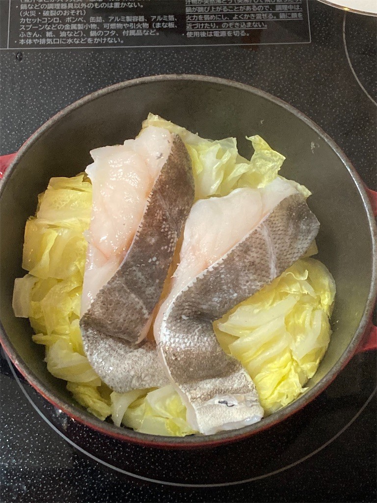 f:id:Magnoliarida:20221128072805j:image f:id:Magnoliarida:20221128072805j:image