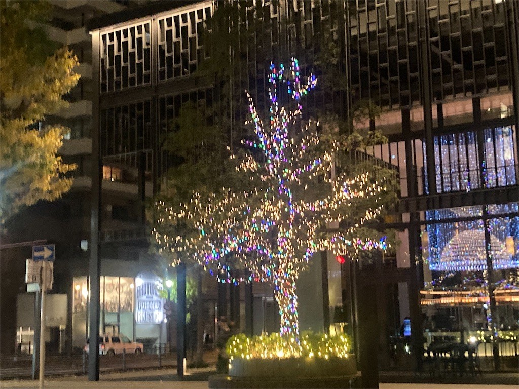 f:id:Magnoliarida:20221130233408j:image