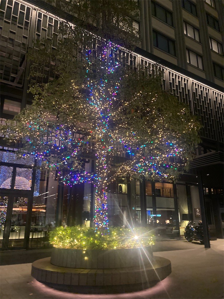 f:id:Magnoliarida:20221130233413j:image