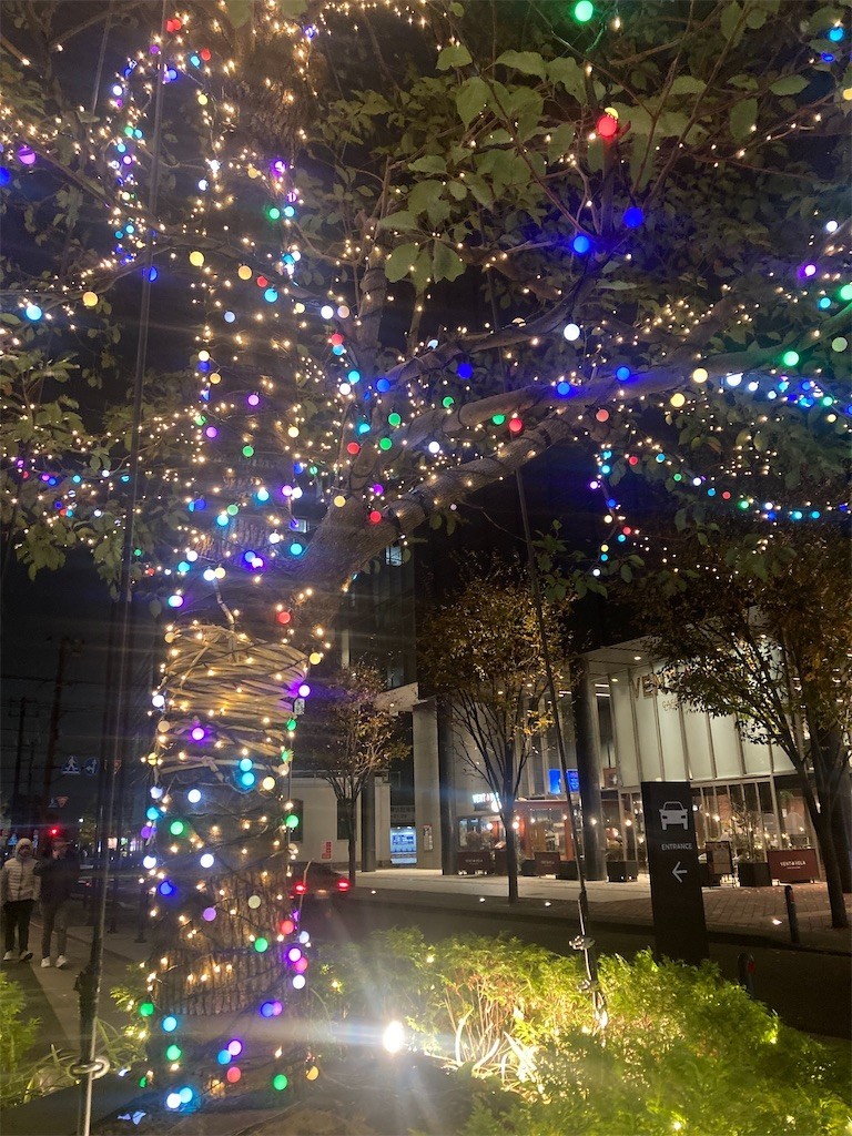 f:id:Magnoliarida:20221130233422j:image