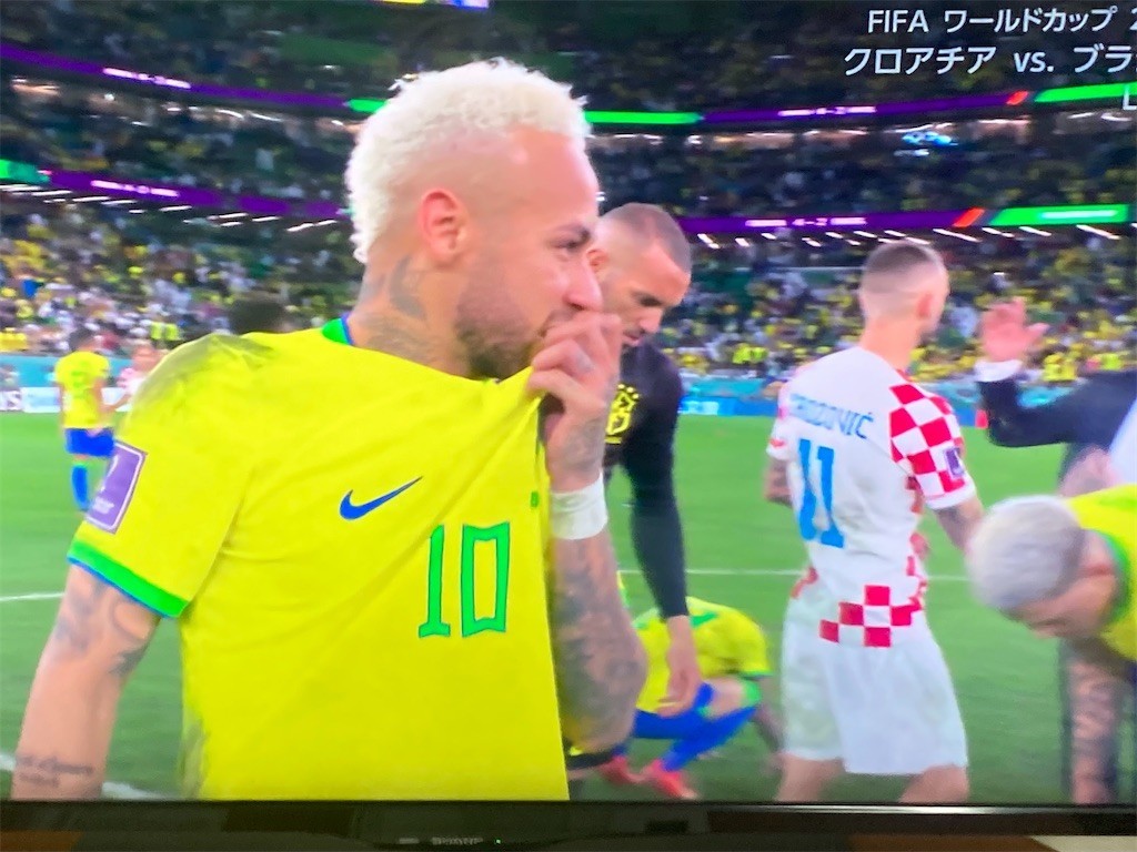 f:id:Magnoliarida:20221210100413j:image