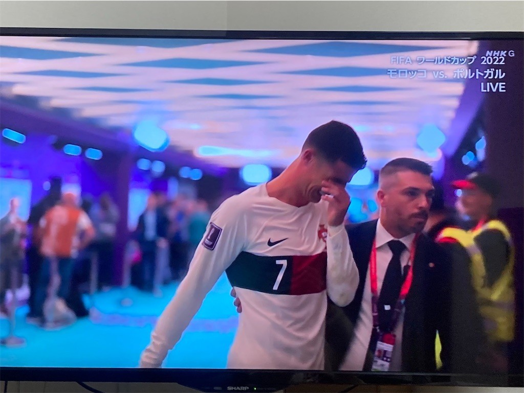 f:id:Magnoliarida:20221211020914j:image