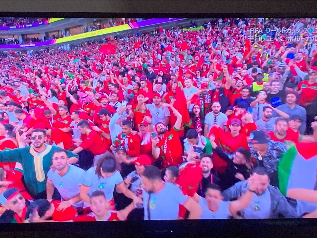 f:id:Magnoliarida:20221211020920j:image