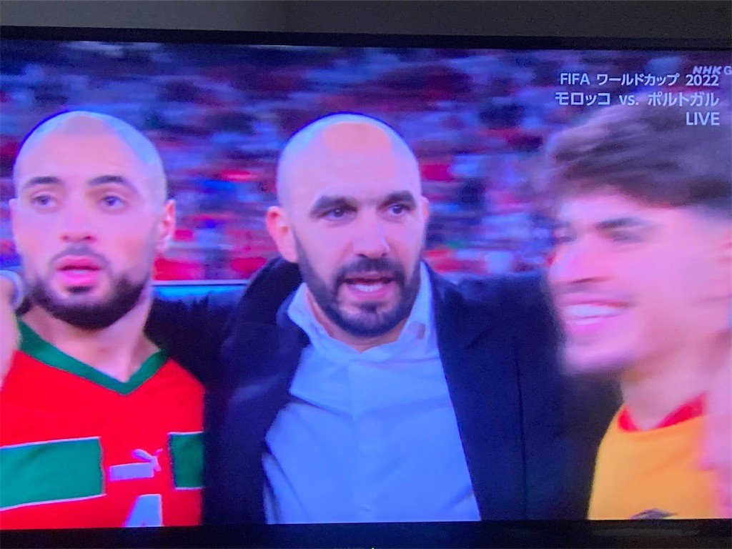 f:id:Magnoliarida:20221211020923j:image