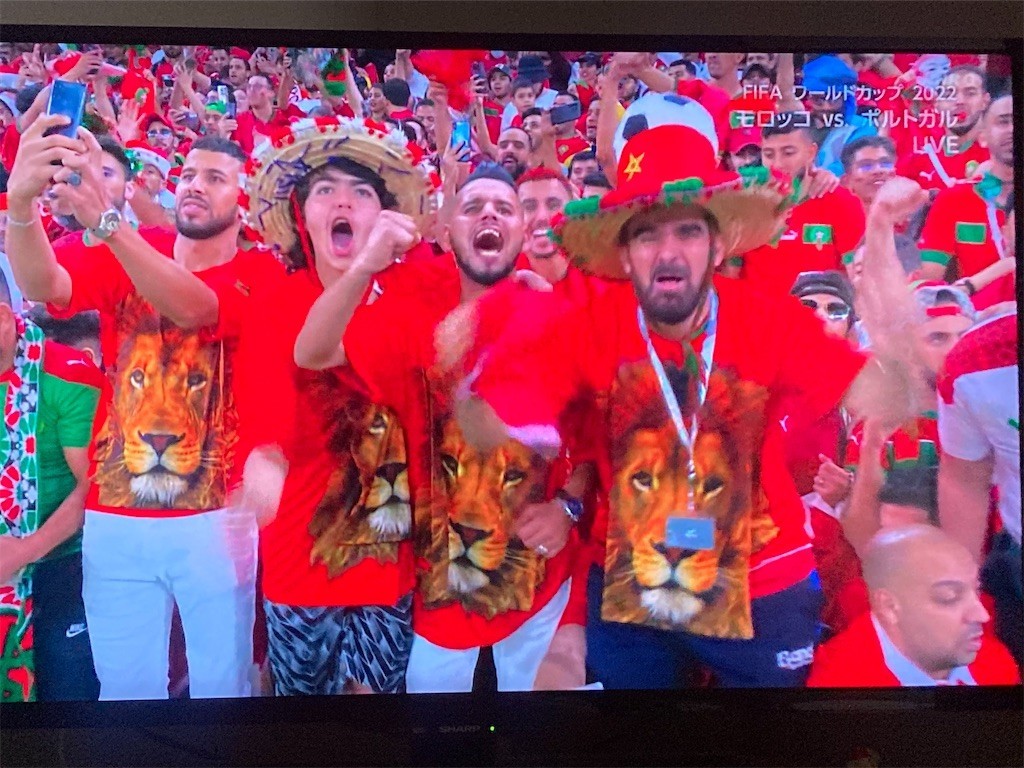 f:id:Magnoliarida:20221211020926j:image