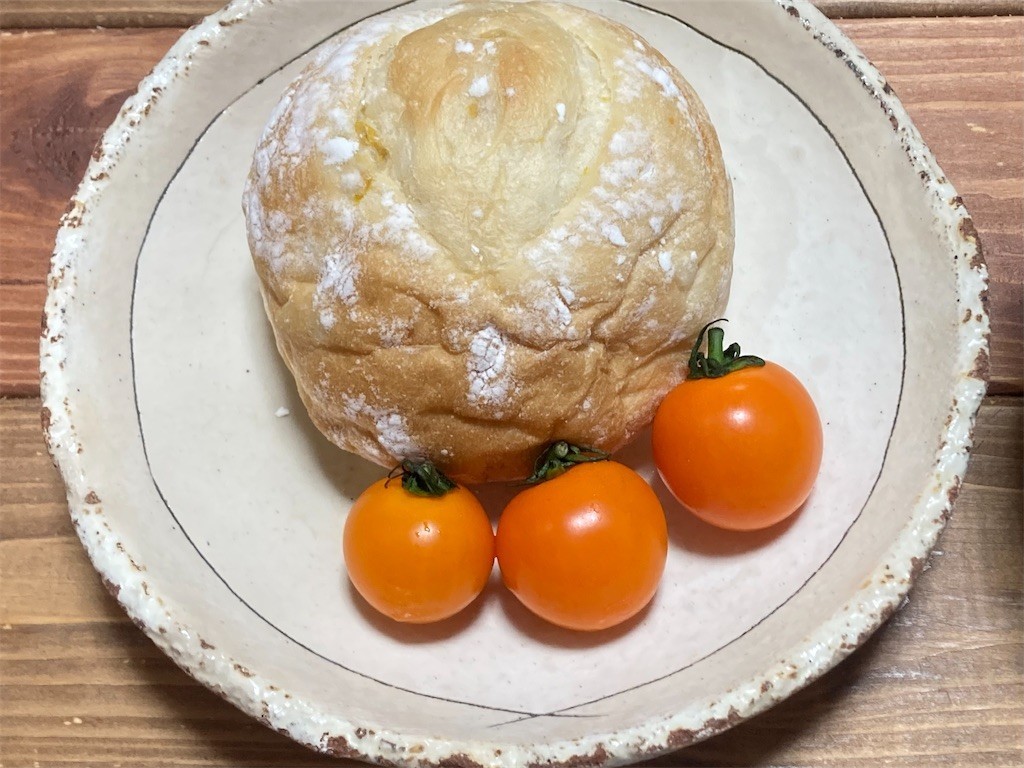 f:id:Magnoliarida:20221213080240j:image