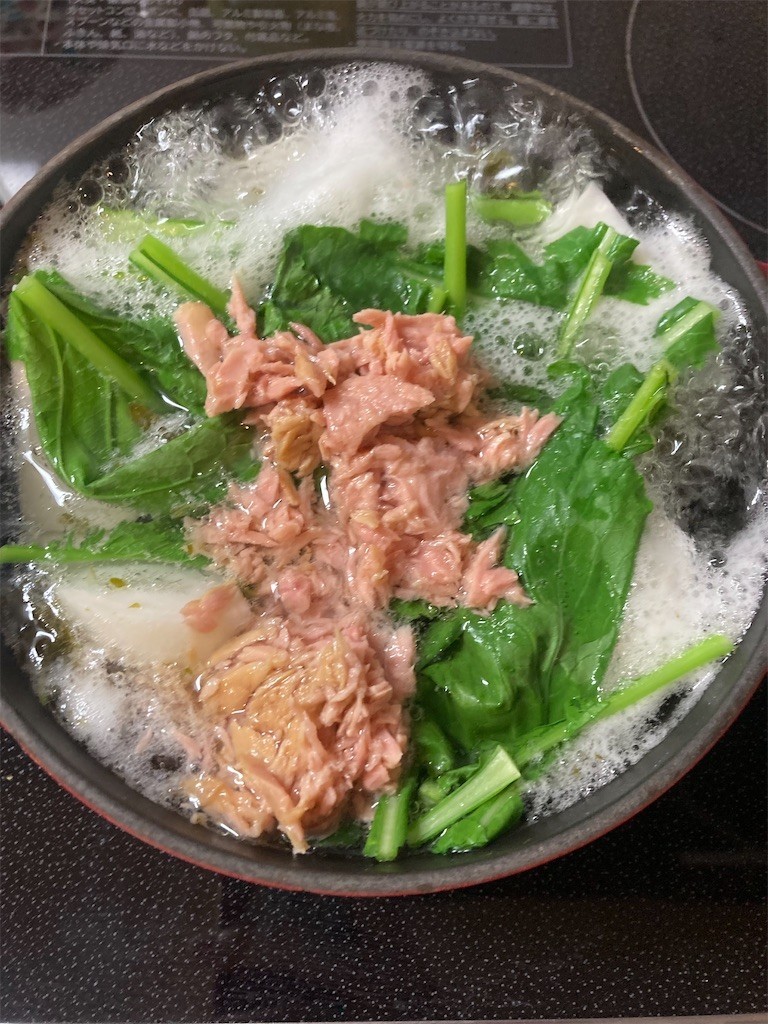 f:id:Magnoliarida:20221213080619j:image