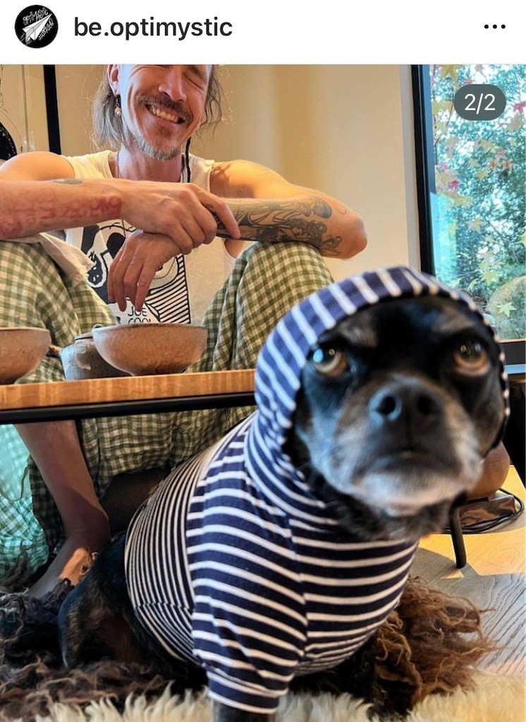 f:id:Magnoliarida:20221213100955j:image