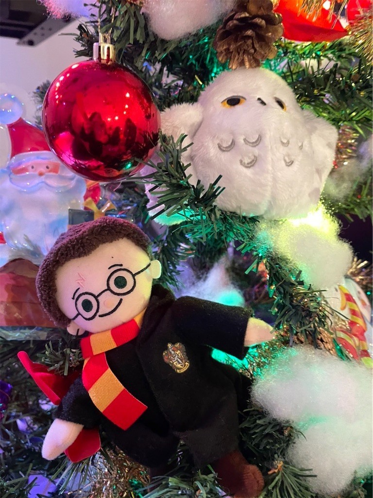 f:id:Magnoliarida:20221221073240j:image f:id:Magnoliarida:20221221073240j:image