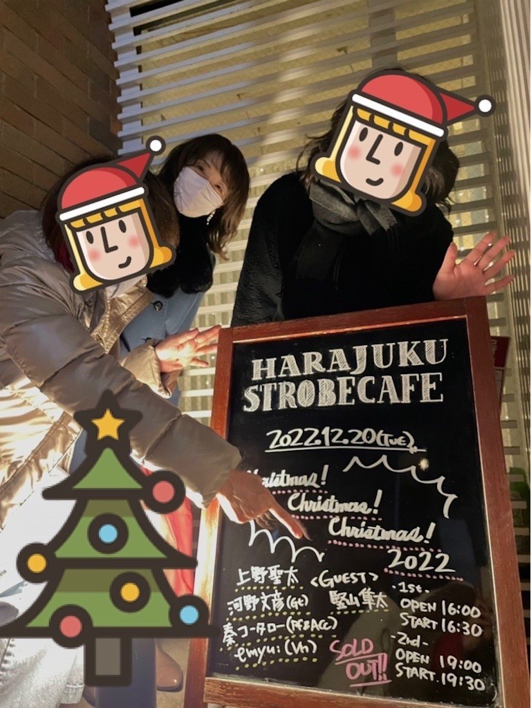 f:id:Magnoliarida:20221221204415j:image f:id:Magnoliarida:20221221204415j:image