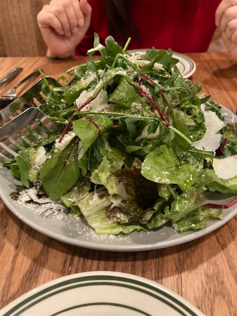 f:id:Magnoliarida:20221228004210j:image