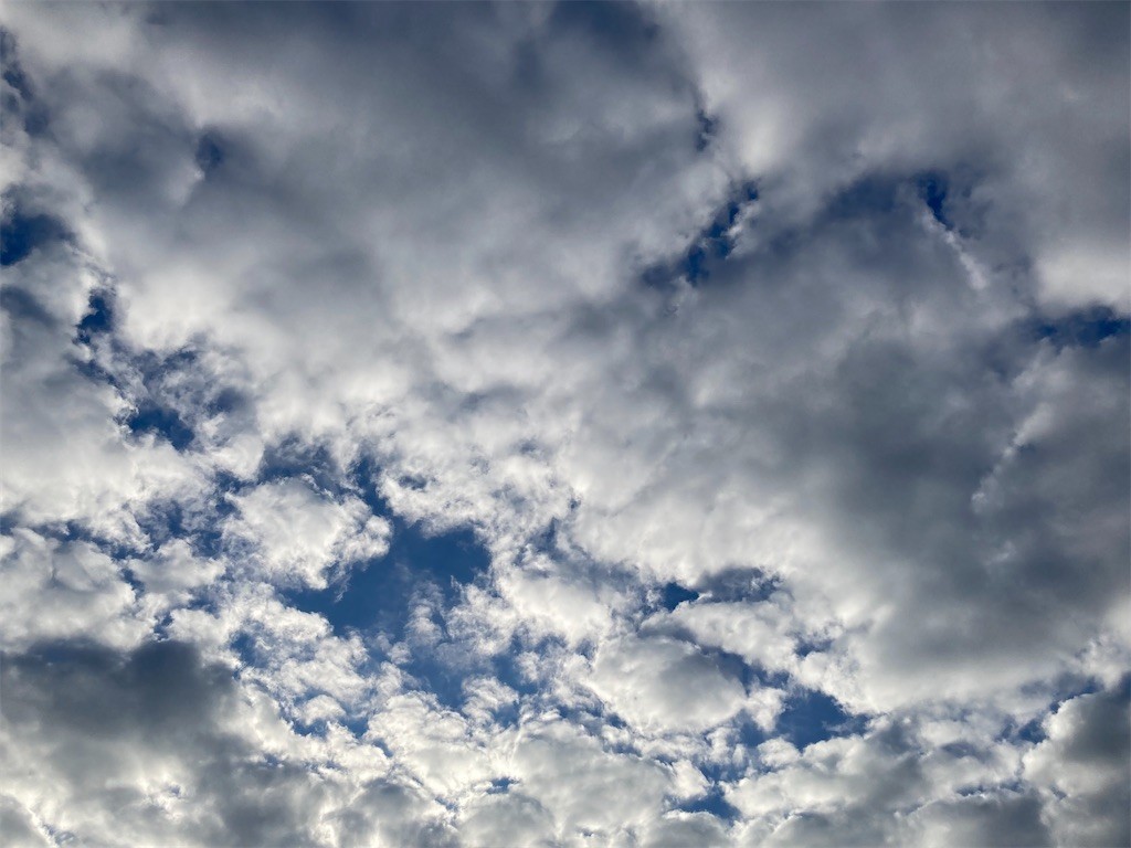 f:id:Magnoliarida:20221228091426j:image f:id:Magnoliarida:20221228091426j:image