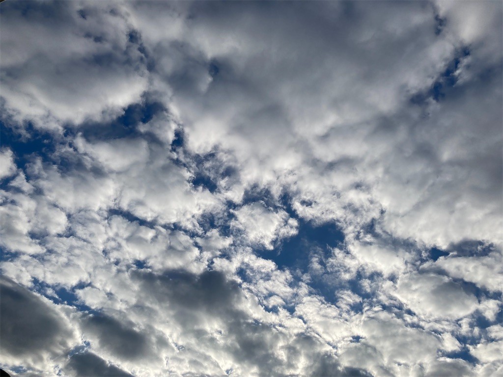 f:id:Magnoliarida:20221228091429j:image