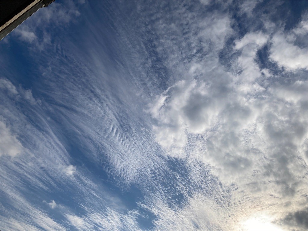 f:id:Magnoliarida:20221228091522j:image f:id:Magnoliarida:20221228091522j:image