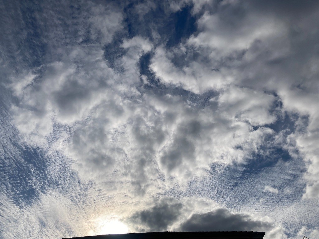 f:id:Magnoliarida:20221228091525j:image f:id:Magnoliarida:20221228091525j:image