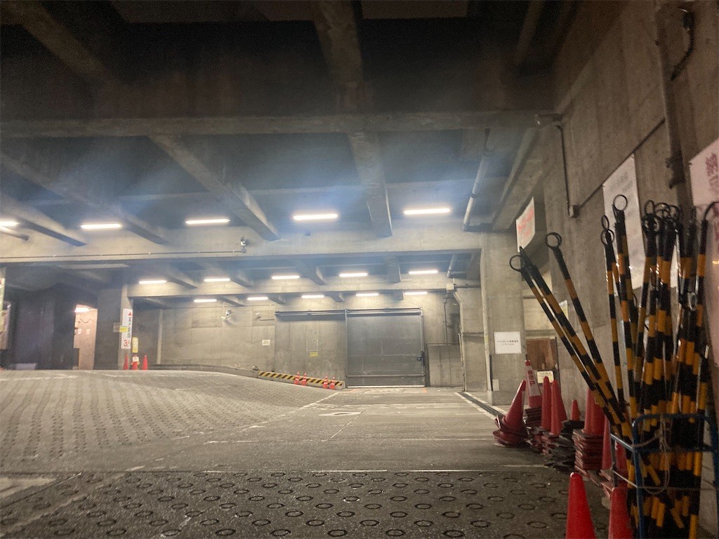 f:id:Magnoliarida:20230115104949j:image f:id:Magnoliarida:20230115104949j:image