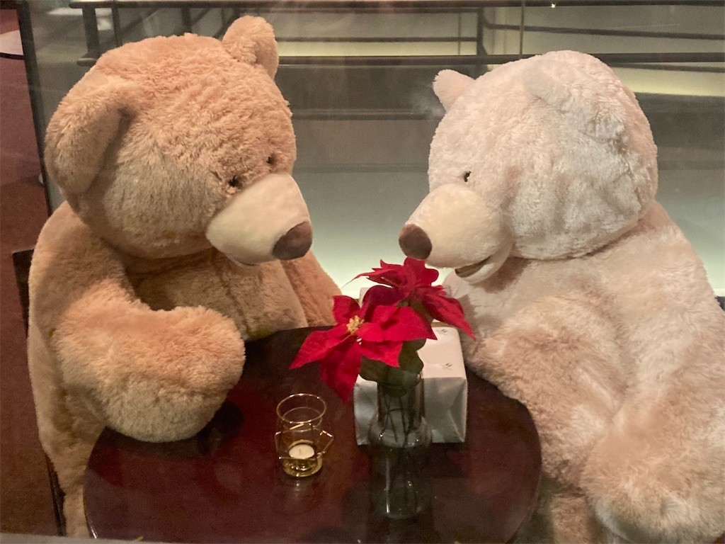 f:id:Magnoliarida:20230115105347j:image