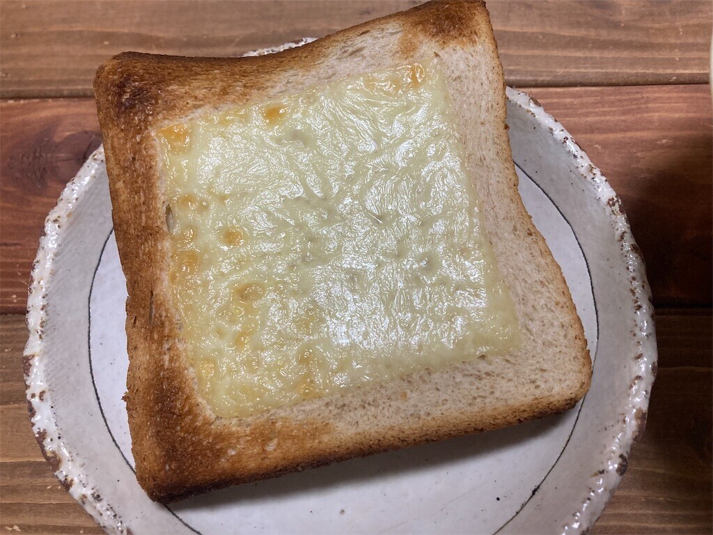 f:id:Magnoliarida:20230210083843j:image