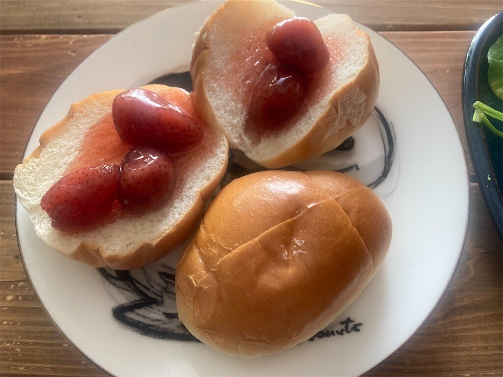 f:id:Magnoliarida:20230311102817j:image f:id:Magnoliarida:20230311102817j:image