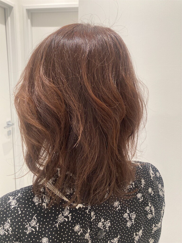 f:id:Magnoliarida:20230312215537j:image