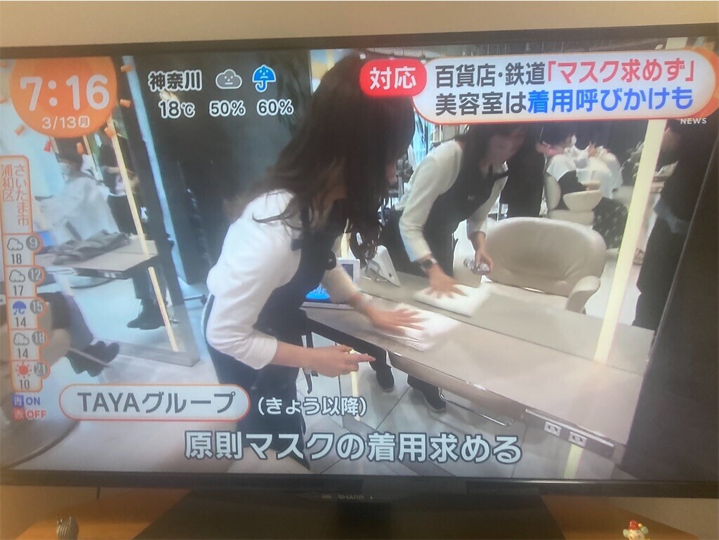 f:id:Magnoliarida:20230313082535j:image f:id:Magnoliarida:20230313082535j:image