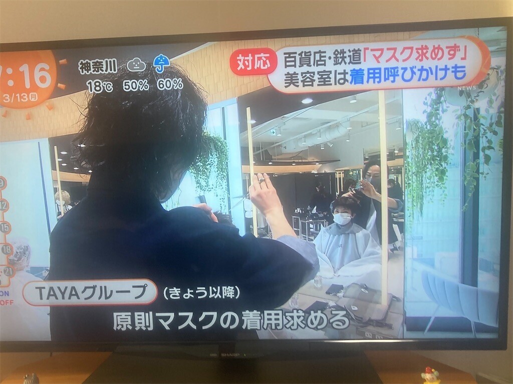 f:id:Magnoliarida:20230313082542j:image