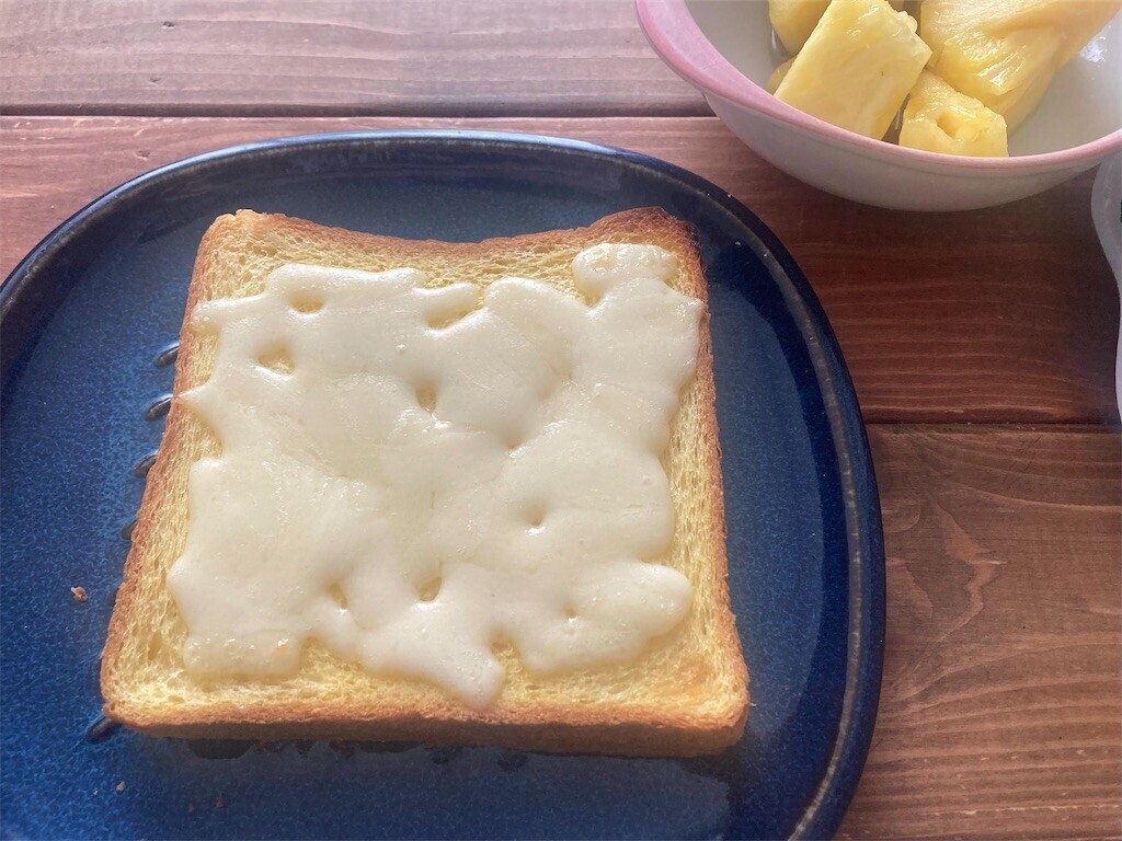 f:id:Magnoliarida:20230402102220j:image