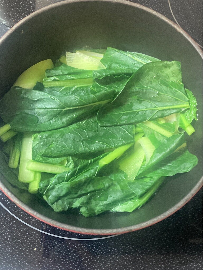 f:id:Magnoliarida:20230403074419j:image