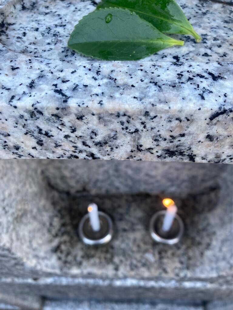 f:id:Magnoliarida:20230409164001j:image