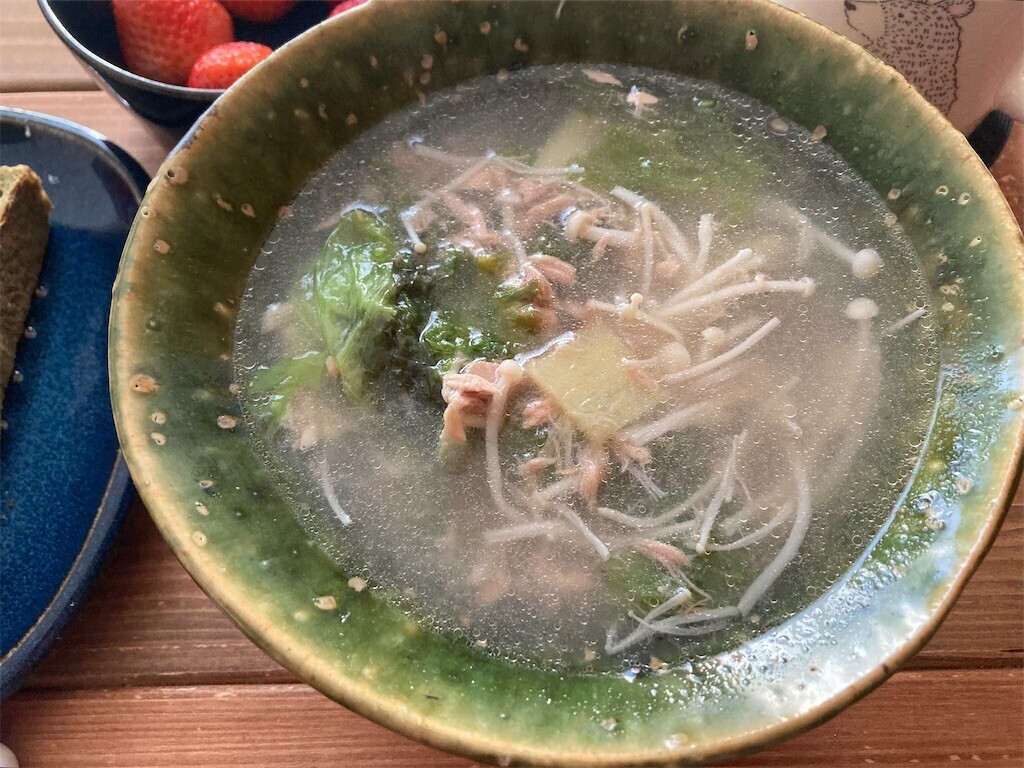 f:id:Magnoliarida:20230419074536j:image