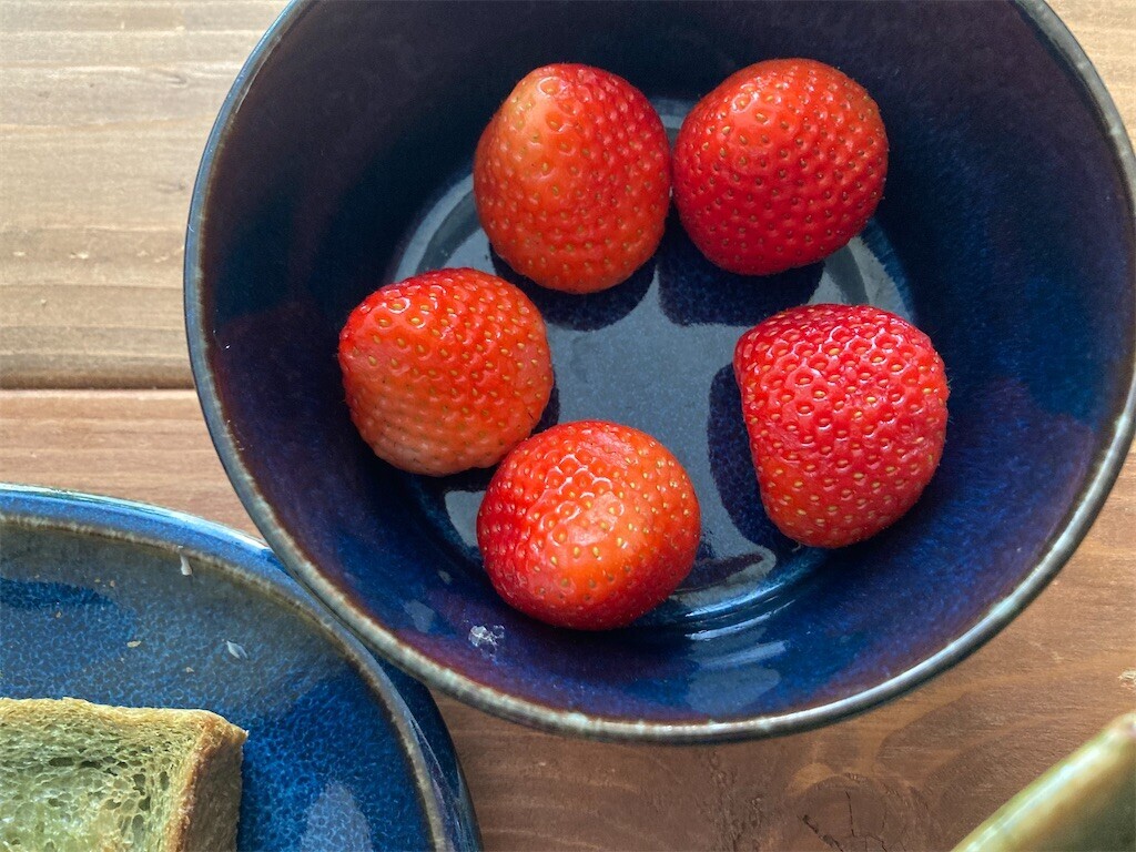 f:id:Magnoliarida:20230419074543j:image