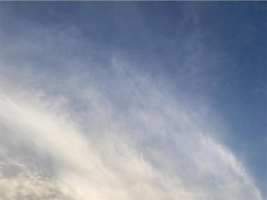 f:id:Magnoliarida:20230428185939j:image