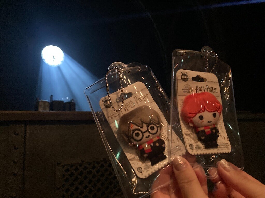 f:id:Magnoliarida:20230508094542j:image f:id:Magnoliarida:20230508094542j:image