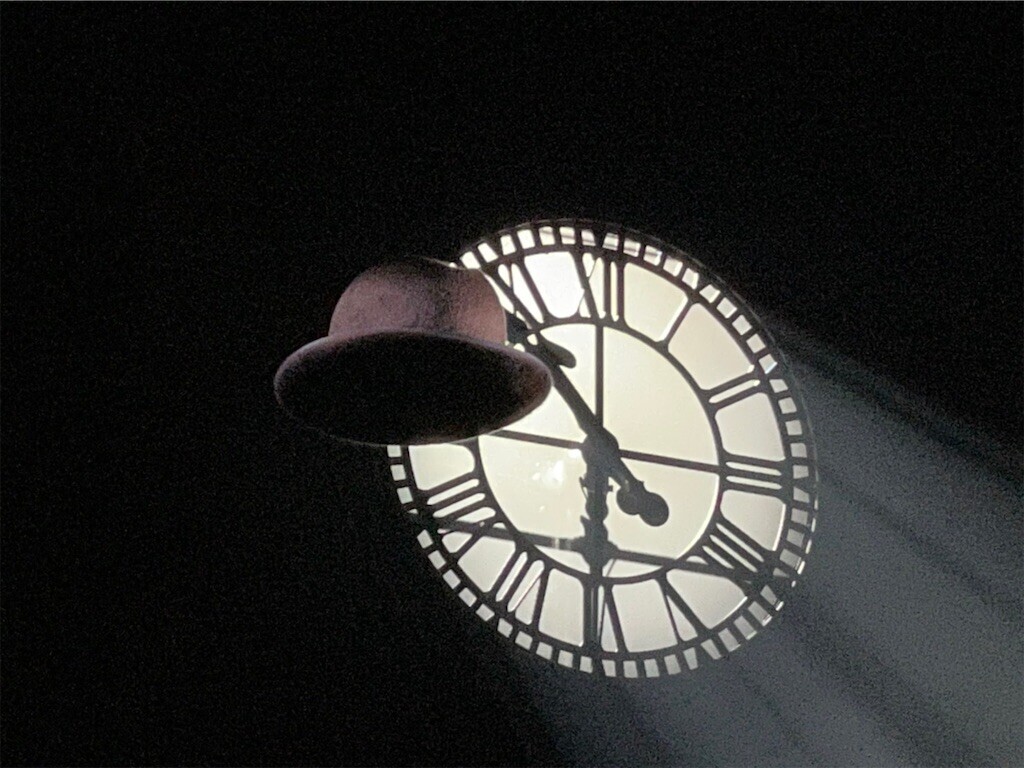 f:id:Magnoliarida:20230508094707j:image f:id:Magnoliarida:20230508094707j:image