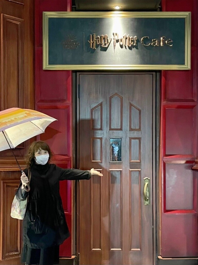 f:id:Magnoliarida:20230508133609j:image f:id:Magnoliarida:20230508133609j:image