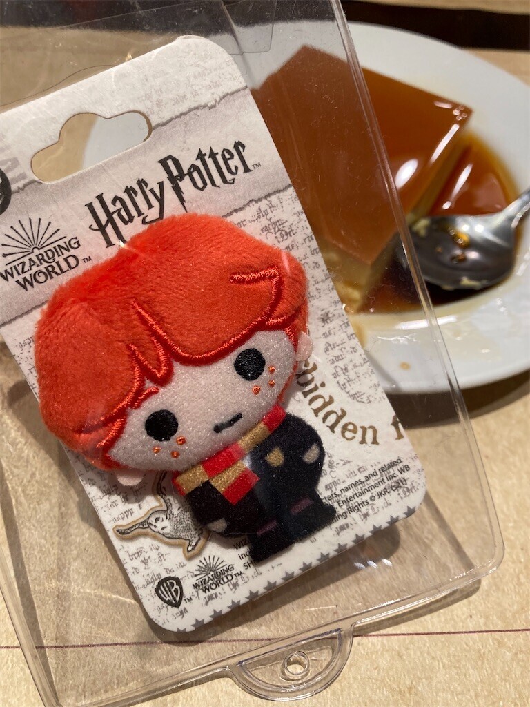 f:id:Magnoliarida:20230508134018j:image f:id:Magnoliarida:20230508134018j:image