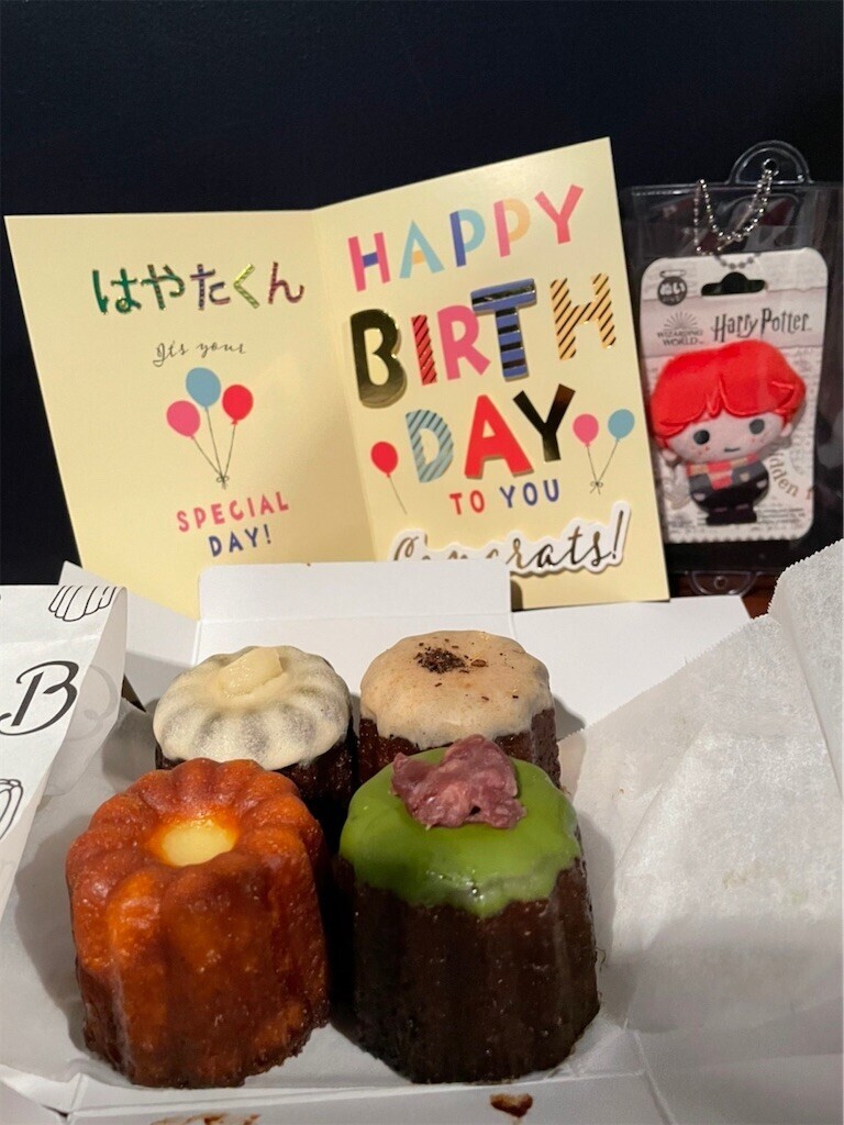 f:id:Magnoliarida:20230508134616j:image f:id:Magnoliarida:20230508134616j:image