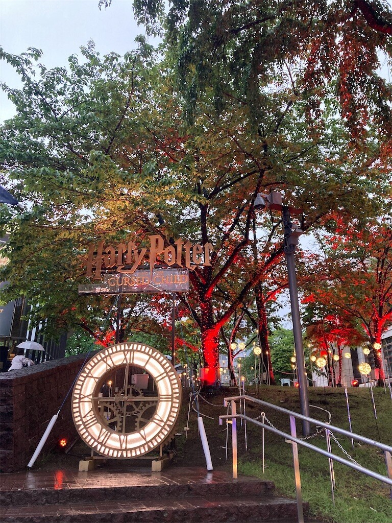 f:id:Magnoliarida:20230508141039j:image f:id:Magnoliarida:20230508141039j:image