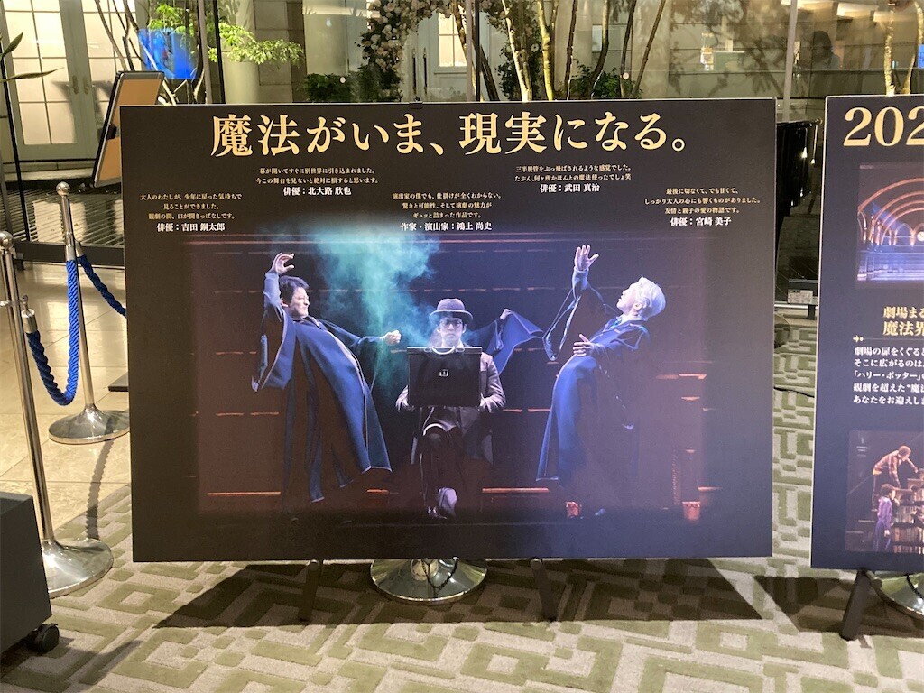 f:id:Magnoliarida:20230508141856j:image f:id:Magnoliarida:20230508141856j:image