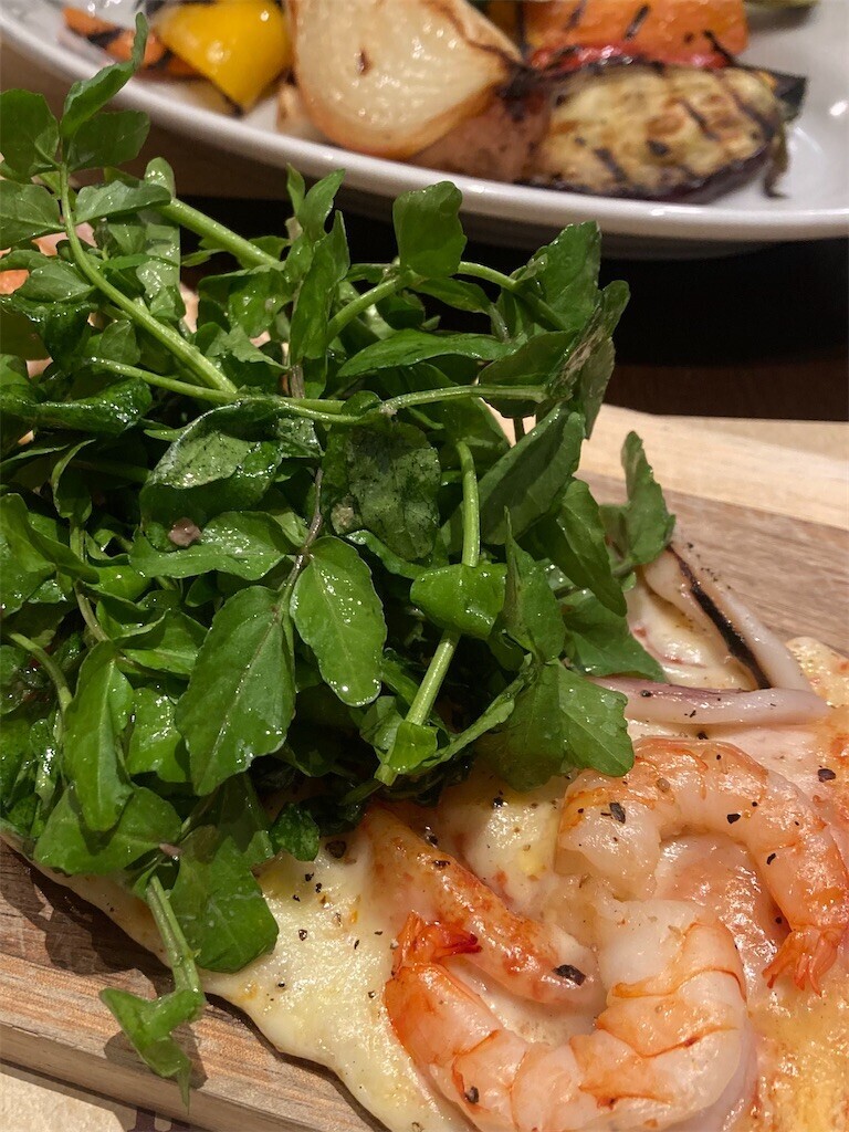 f:id:Magnoliarida:20230509145509j:image f:id:Magnoliarida:20230509145509j:image