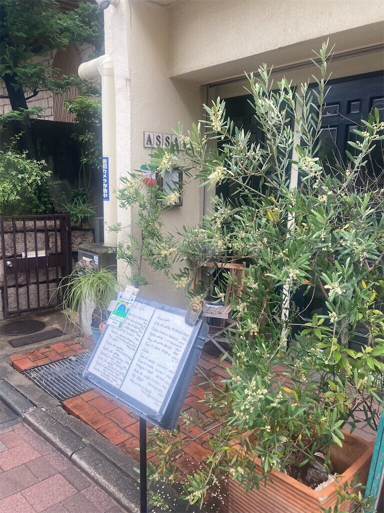 f:id:Magnoliarida:20230513235535j:image