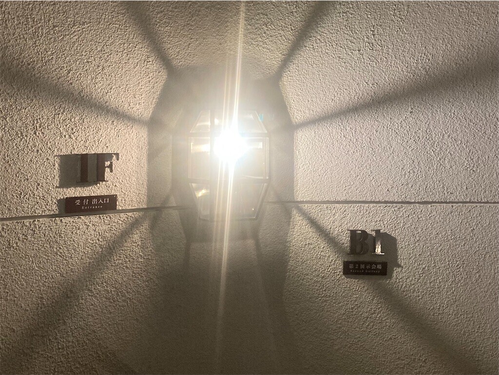 f:id:Magnoliarida:20230514105239j:image f:id:Magnoliarida:20230514105239j:image